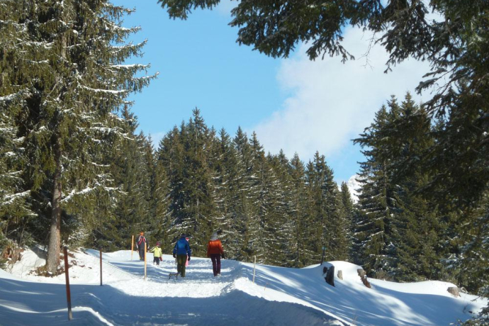 Herrliche Naturlandschaft