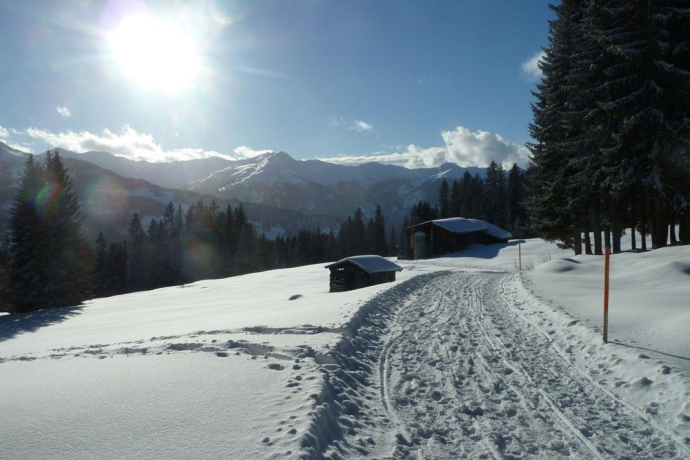 Blick übers Prättigau