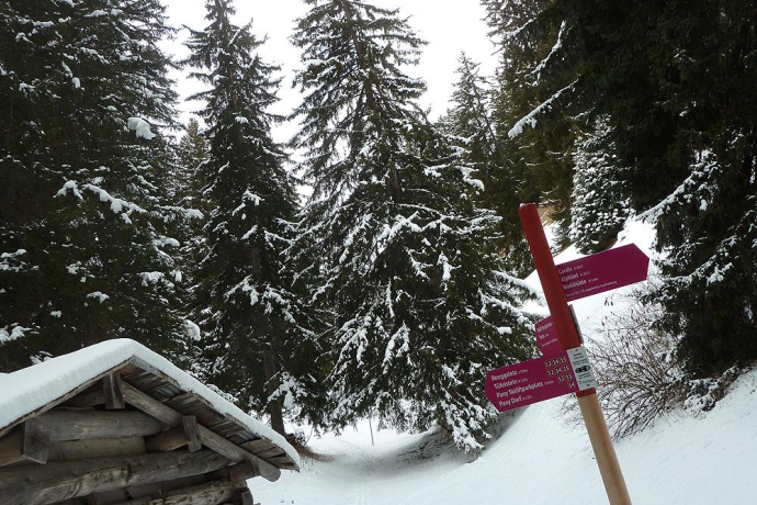 Lauschige Abschnitte durch den Winterwald (Verzweigungspunkt Waldhütte) Lauschige Abschnitte durch den Winterwald (Verzweigungspunkt Waldhütte)