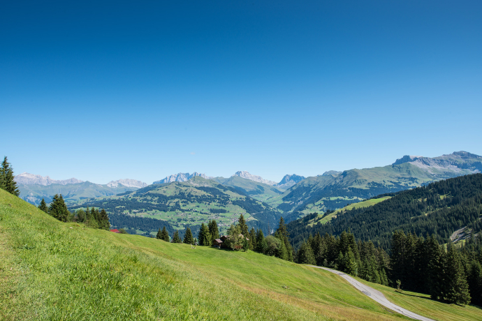 Blick vom Heuberg in Richtung Rätikon