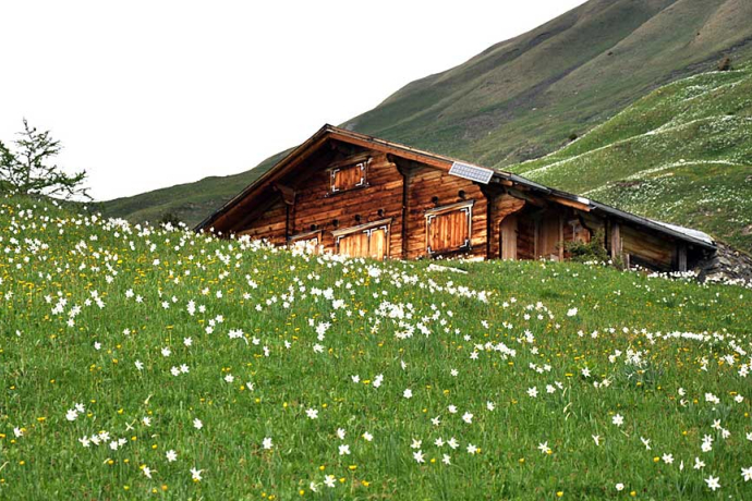 277 Valcaus (oua_1978653_image)