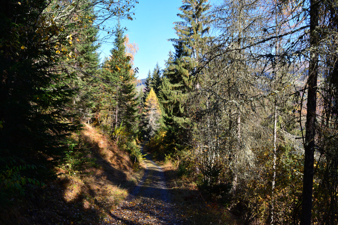 Unterwegs auf dem Spazierweg