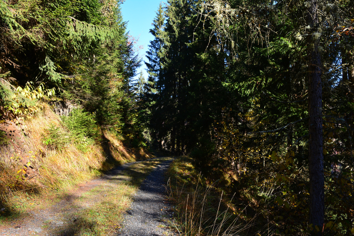 Unterwegs auf dem Spazierweg