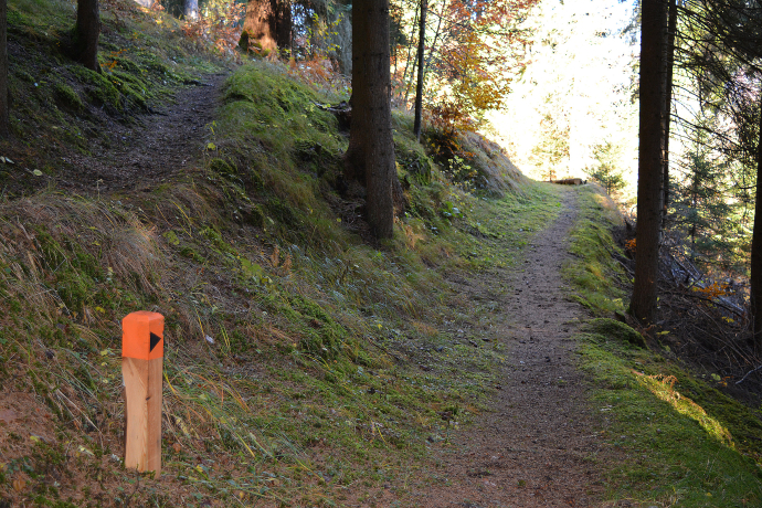 Unterwegs auf dem Spazierweg