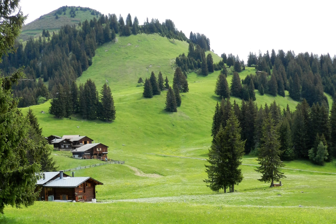 Grillplatz / Feuerstelle Tratza Pany (oua_23020488_image)