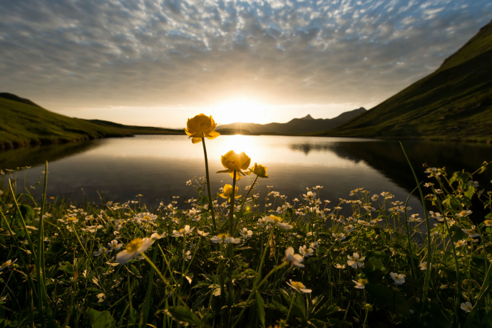 Clunerseen Clunerseen