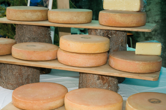 Scenic hike from Klosters Dorf to Sankt Antönien via Hochstelli (oua_23840855_image)