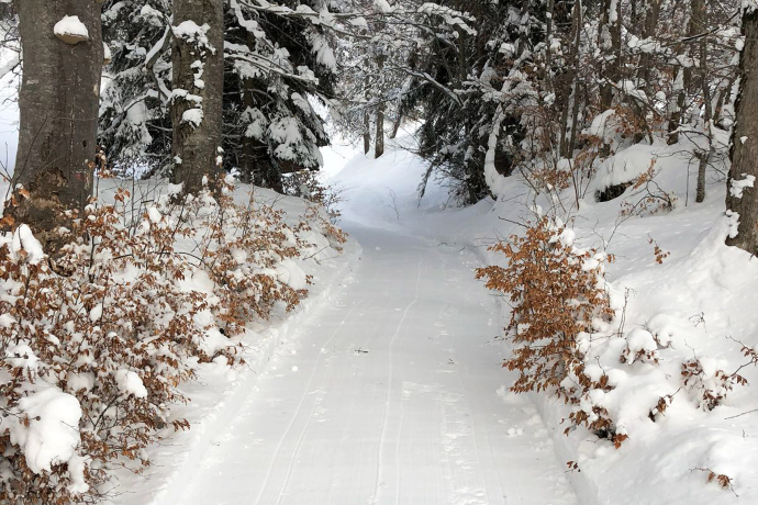 Winterwanderweg Fanas