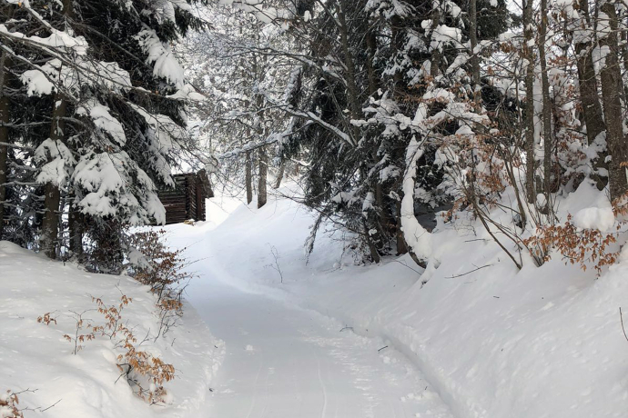 Winterwanderweg Fanas
