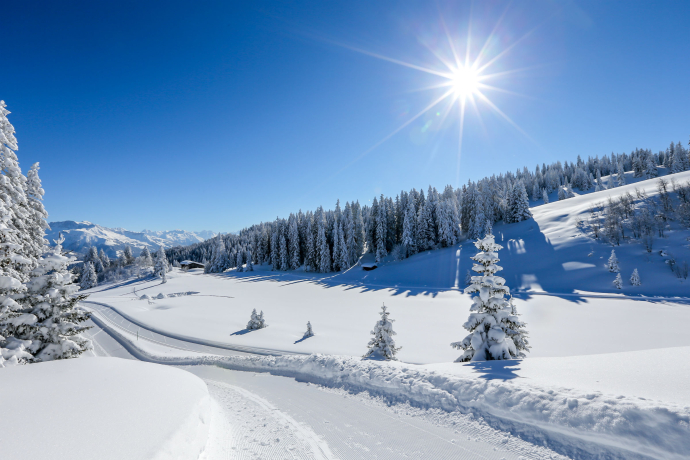 329 Grüsch-Danusa Panoramaweg (oua_25498503_image)