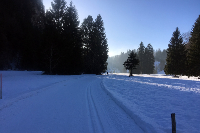 Seewis cross-country ski trail
