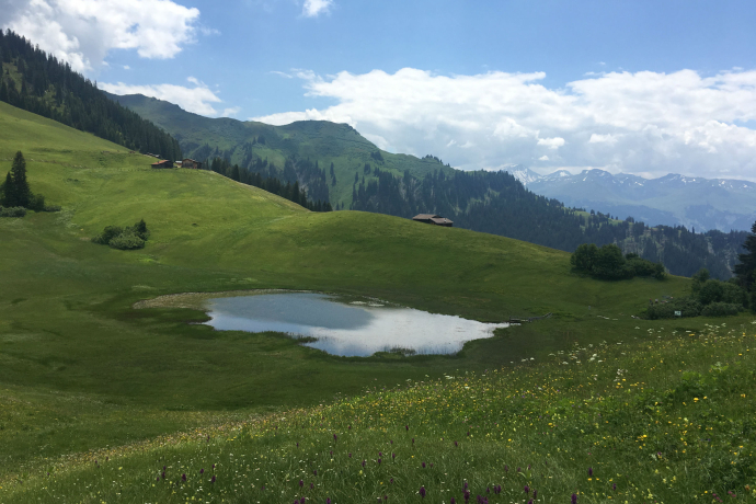 Stelsersee