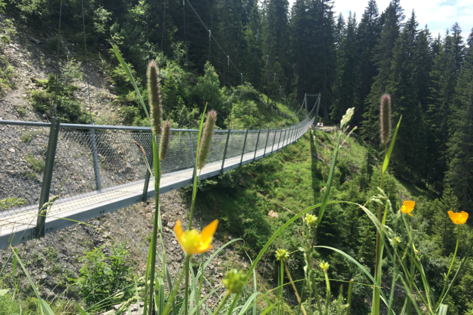 Hängebrücke Buchnertobel