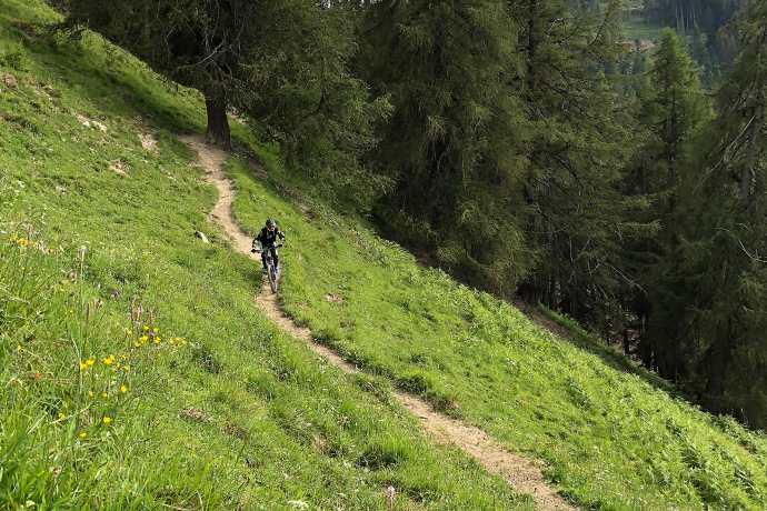 279 Pendlatrail (oua_30306629_image)