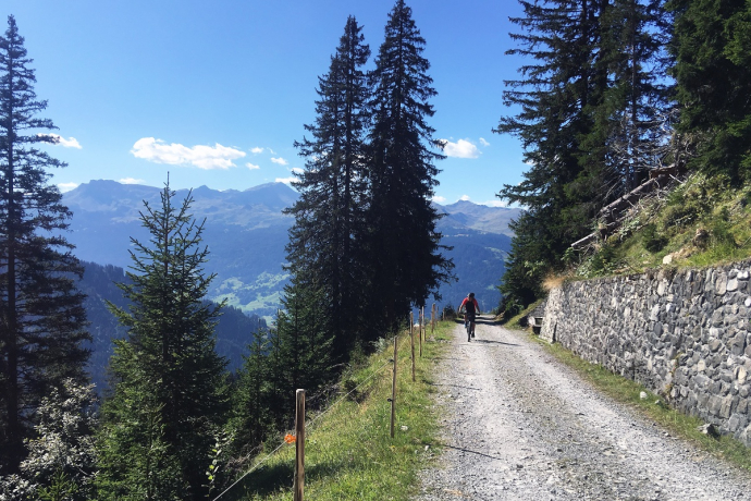 Aufstieg auf der Alpstrasse ab Boden Richtung Alp Valpun