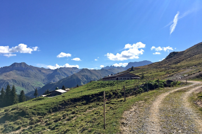 Alp Valpun, meist bis Mitte September bestossen.