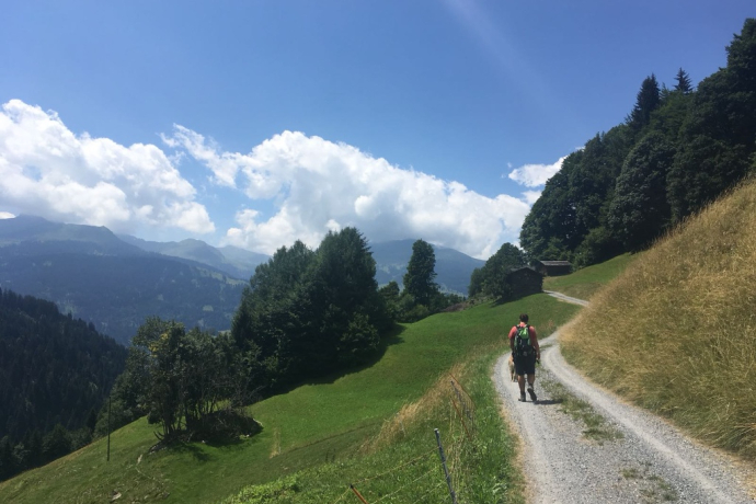 Path along beautiful meadows