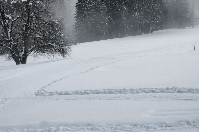 Langlaufloipe zwischen Schiers und Grüsch