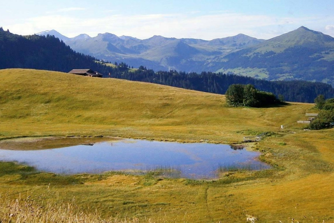 Stelsersee