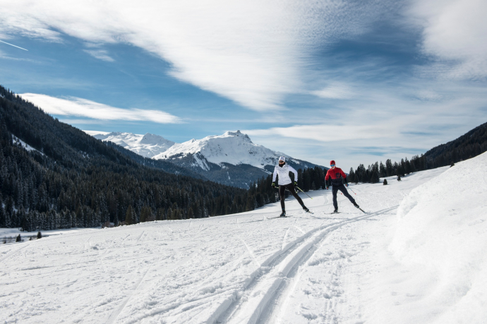 Garfiuner Roller Coaster (oua_40631516_image)