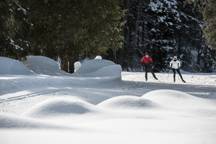 Garfiuner Roller Coaster (oua_44983156_image)