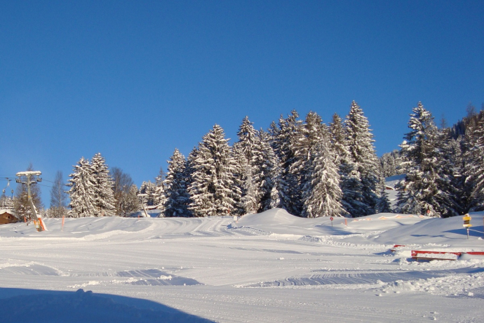 Skilift Pany (oua_53248267_image) Skilift Pany (oua_53248267_image)