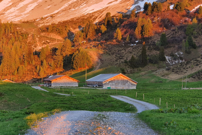 Frühlingserwachen auf der Alp Casanna