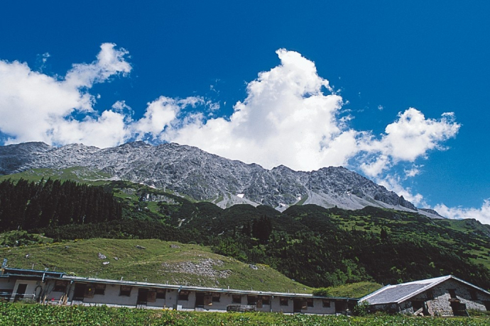 Hinter der Alp Vals trohnt die mächtige Schesaplana Hinter der Alp Vals trohnt die mächtige Schesaplana