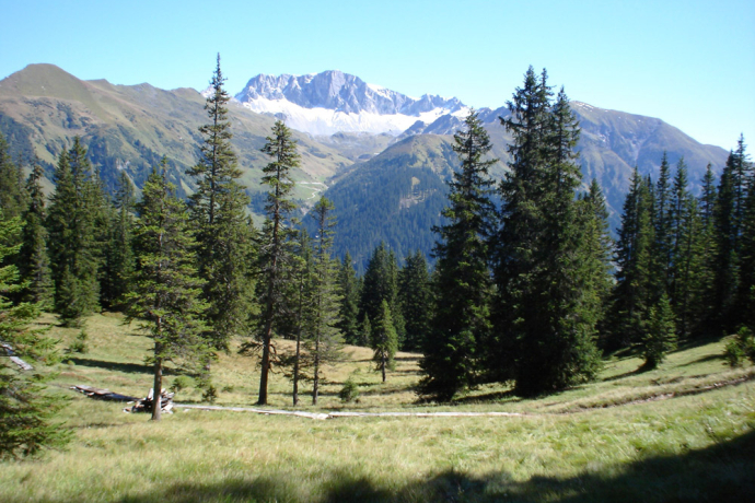 Hochmoorwanderung St. Antönien Grossried