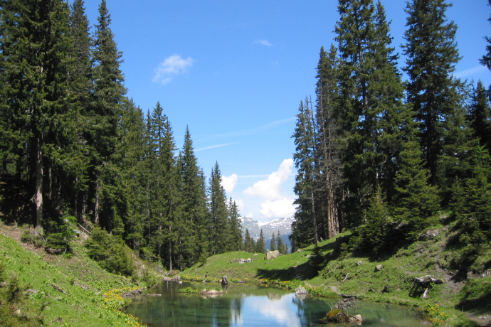 Etappe 17: Grüenseeli, Arosa