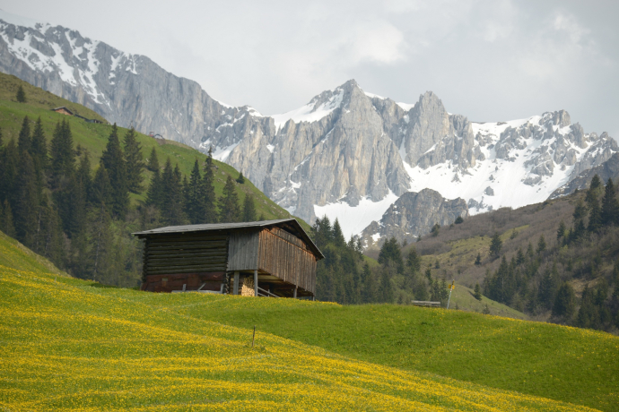 326 Bova (oua_67551796_image)