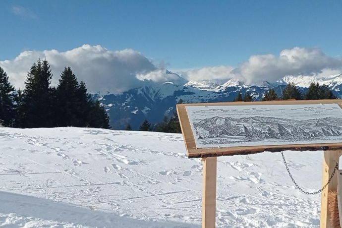 329 Grüsch-Danusa Panoramaweg (oua_76245226_image)