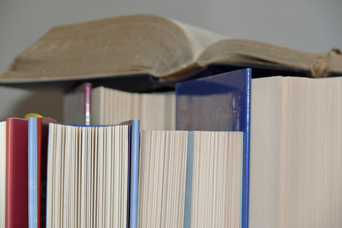 Bibliothek EMS Schiers (oua_76258625_image)