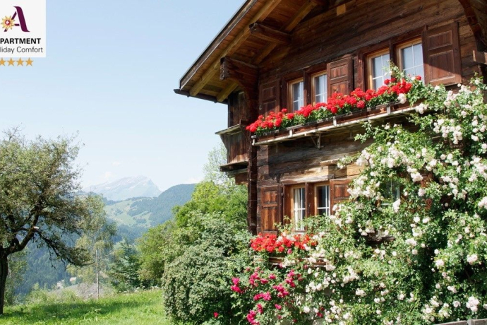 Aussenansicht Sommer