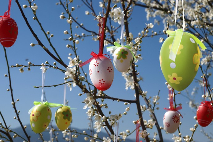 Osterverkauf der Bäuerinnen (gdl_741021087_image)
