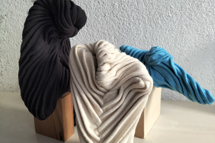 Regula Verdet-Fierz (gdl_905639456_image)