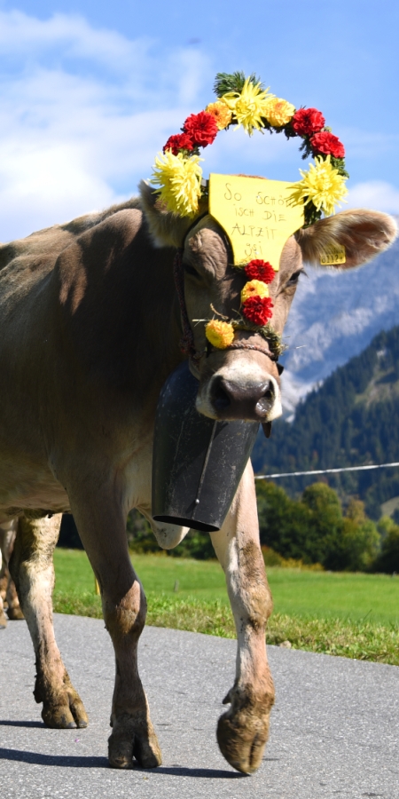 Prättigauer Alp Spektakel