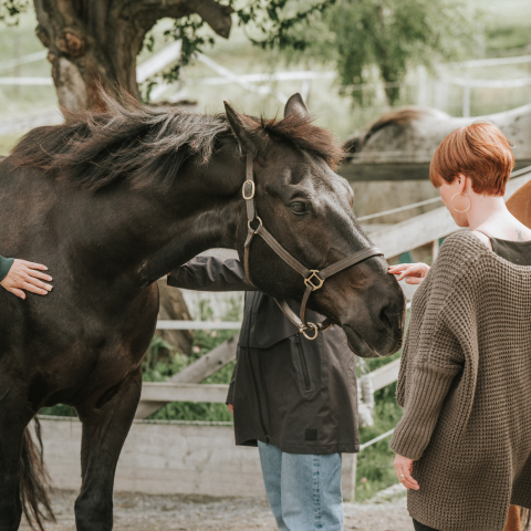 Teamspirit Ranch Mindfulness