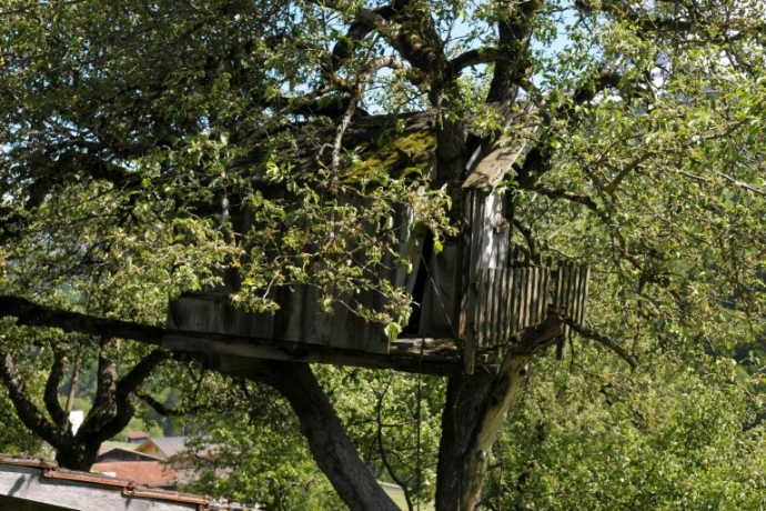 Auf Bäumen und in dieser Baumhütte begann‘s! © Marietta Kobald Ein Baum mit einem Baumhaus