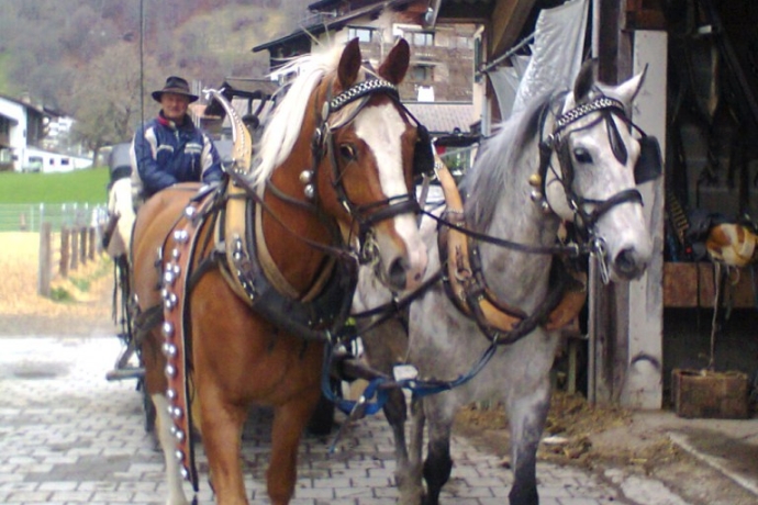 Pferdekutsche von Jörg Marugg