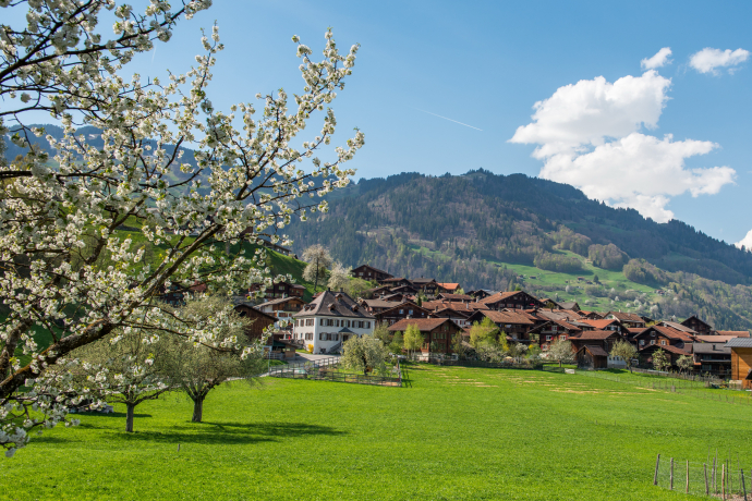 Jenaz_Sommer ©Marietta Kobald