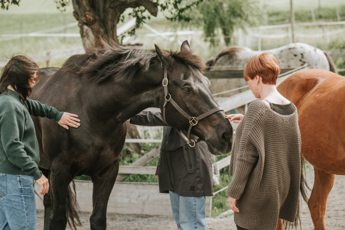 Teamspirit Ranch Mindfulness